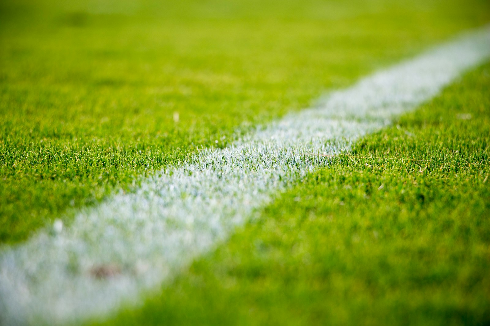 Línea de cal sobre césped deportivo profesional