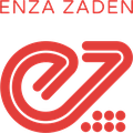 Enza Zaden